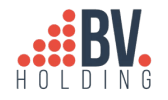 BV Holding